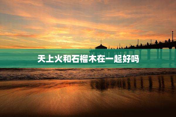 天上火和石榴木在一起好吗