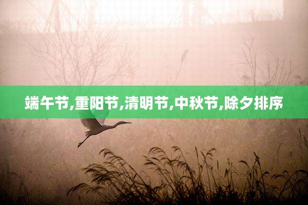 端午节,重阳节,清明节,中秋节,除夕排序