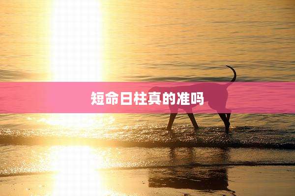短命日柱真的准吗