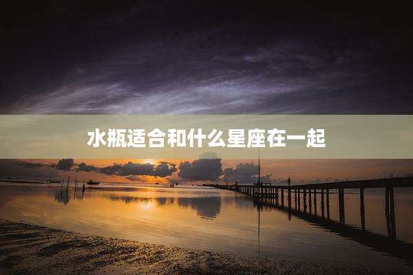 水瓶适合和什么星座在一起