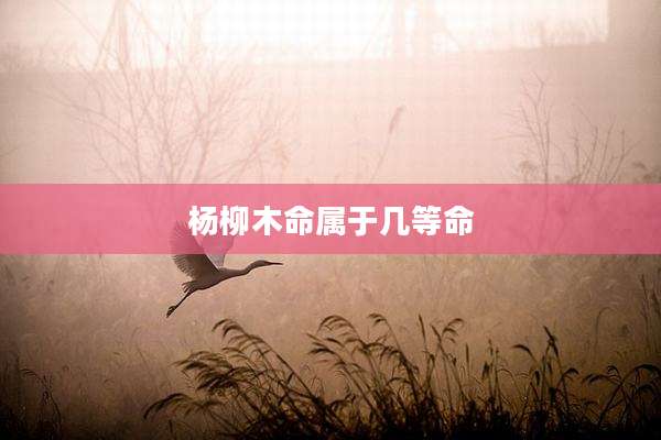杨柳木命属于几等命