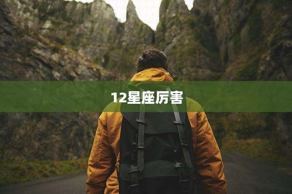 12星座厉害