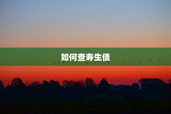 如何查寿生债