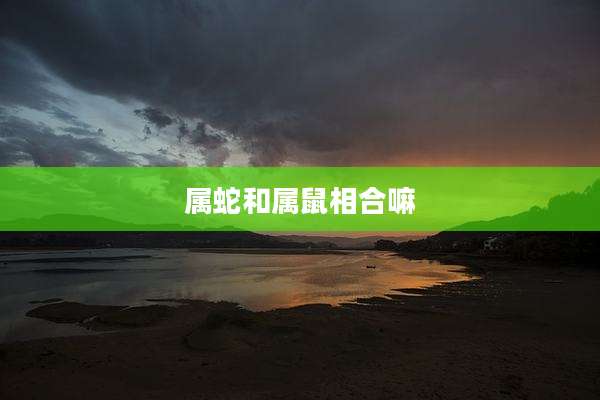 属蛇和属鼠相合嘛