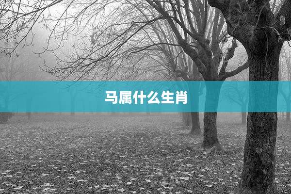 马属什么生肖