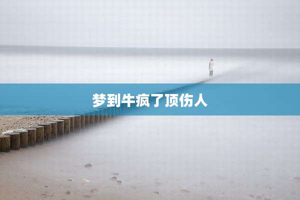 梦到牛疯了顶伤人