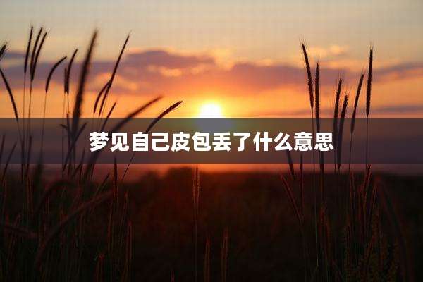 梦见自己皮包丢了什么意思