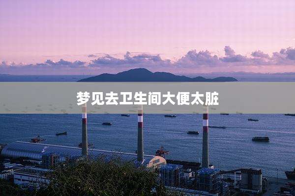 梦见去卫生间大便太脏