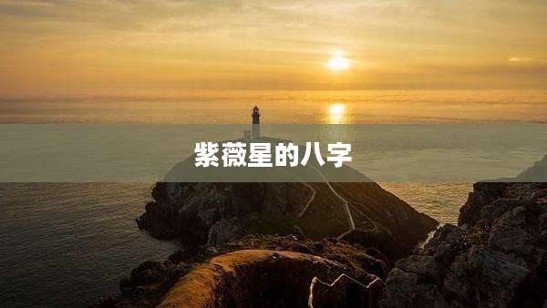 紫薇星的八字