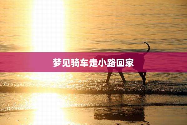 梦见骑车走小路回家