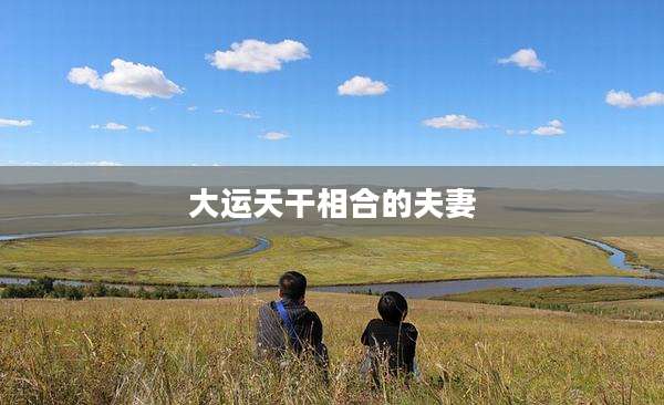 大运天干相合的夫妻