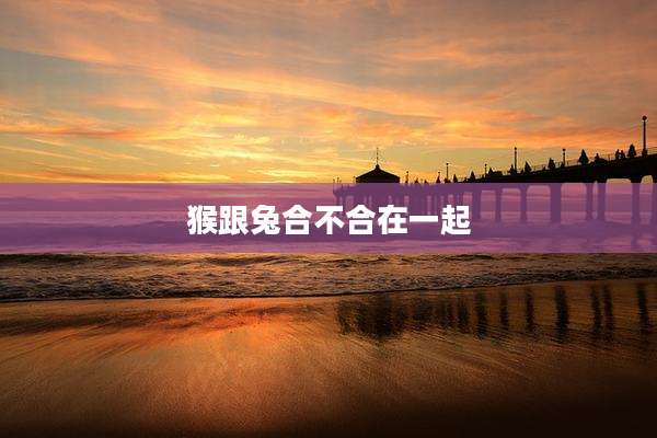 猴跟兔合不合在一起