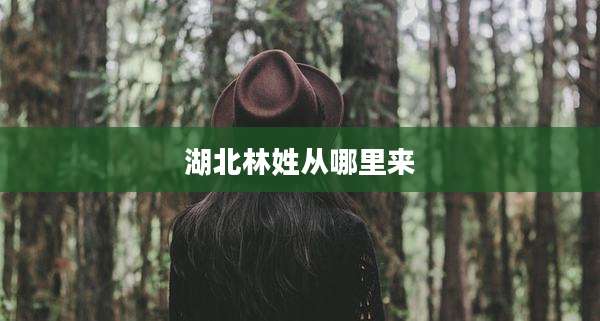 湖北林姓从哪里来