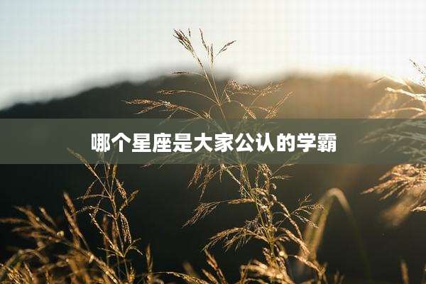 哪个星座是大家公认的学霸