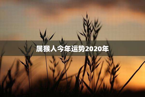 属猴人今年运势2020年