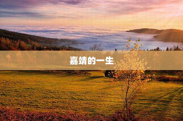 嘉靖的一生