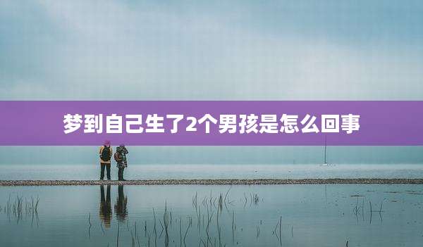梦到自己生了2个男孩是怎么回事