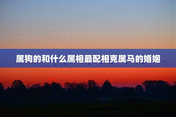 属狗的和什么属相最配相克属马的婚姻