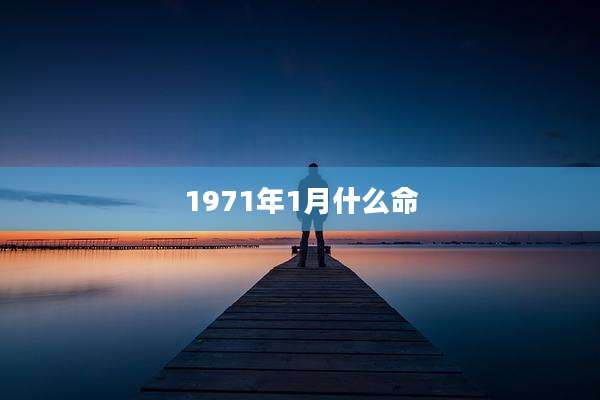 1971年1月什么命