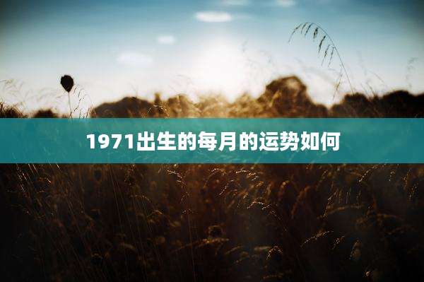 1971出生的每月的运势如何