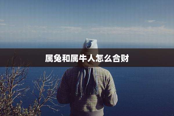 属兔和属牛人怎么合财