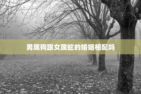 男属狗跟女属蛇的婚姻相配吗