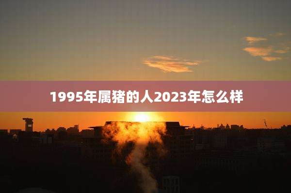 1995年属猪的人2023年怎么样