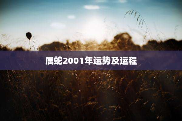 属蛇2001年运势及运程