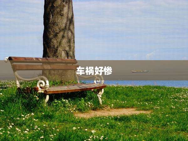 车祸好惨