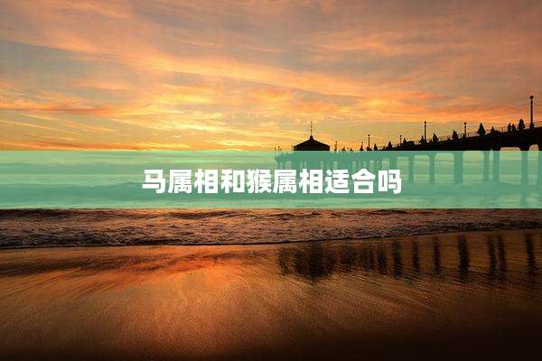 马属相和猴属相适合吗