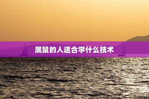 属鼠的人适合学什么技术
