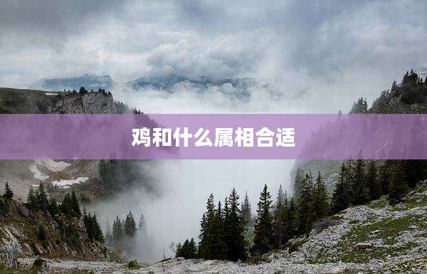 鸡和什么属相合适