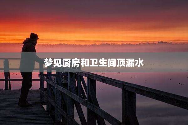 梦见厨房和卫生间顶漏水