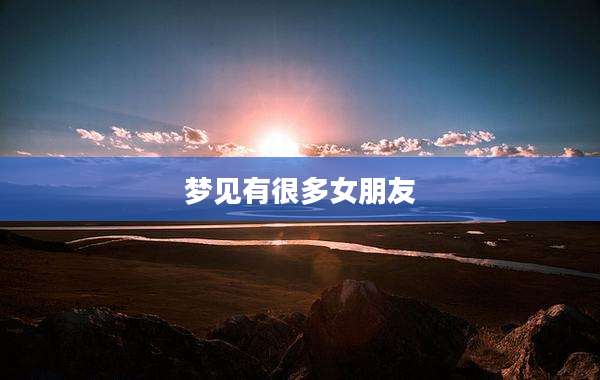 梦见有很多女朋友