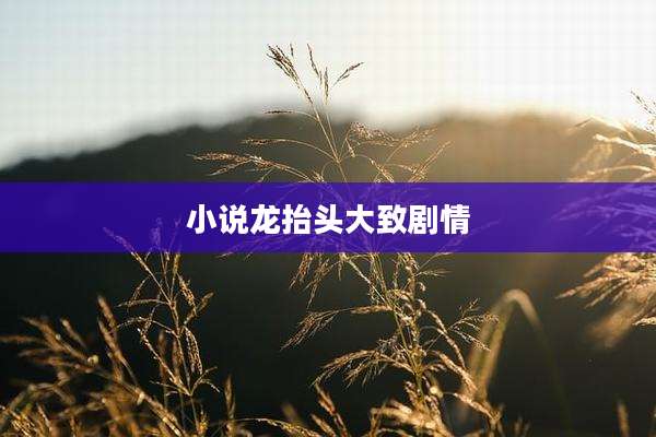 小说龙抬头大致剧情