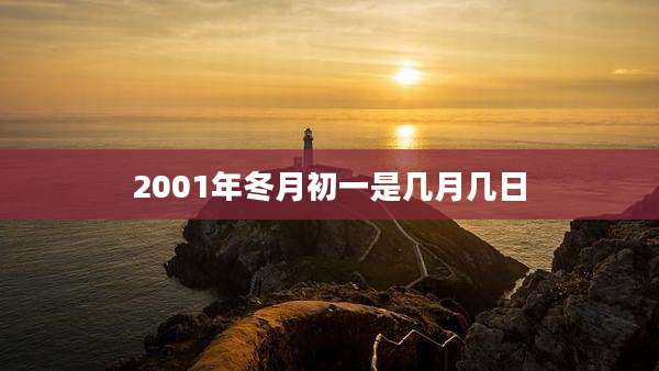 2001年冬月初一是几月几日