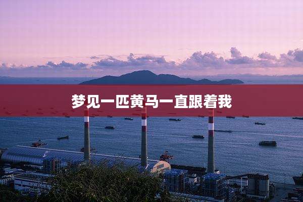 梦见一匹黄马一直跟着我