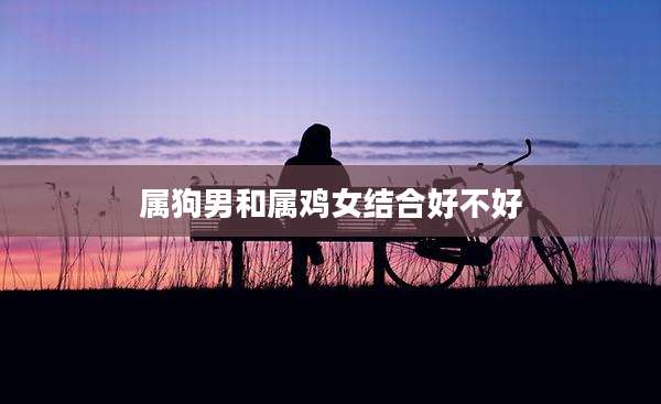 属狗男和属鸡女结合好不好