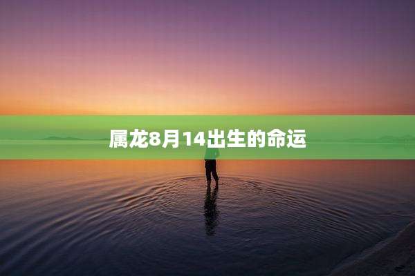 属龙8月14出生的命运
