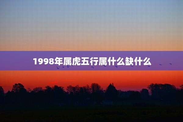 1998年属虎五行属什么缺什么