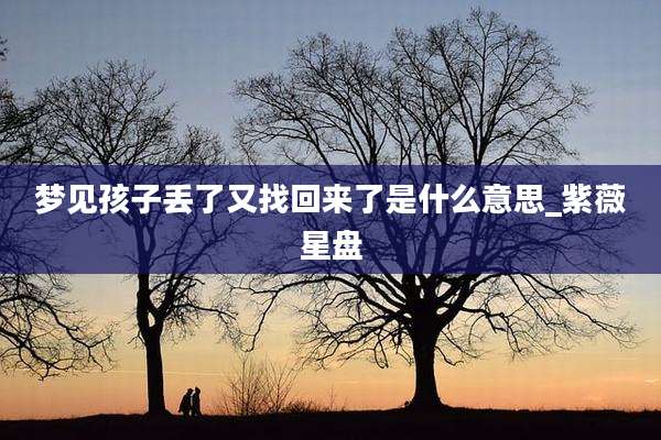 梦见孩子丢了又找回来了是什么意思_紫薇星盘