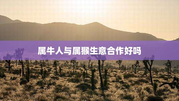 属牛人与属猴生意合作好吗