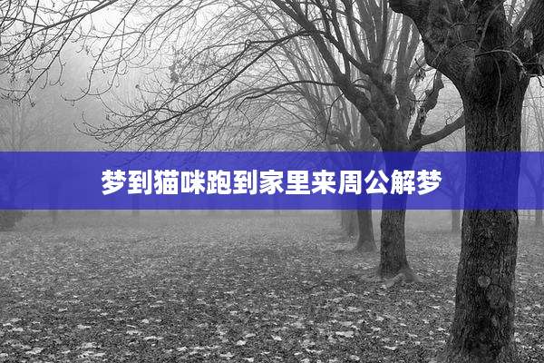 梦到猫咪跑到家里来周公解梦