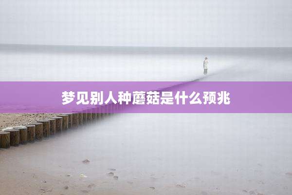 梦见别人种蘑菇是什么预兆