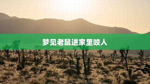 梦见老鼠进家里咬人