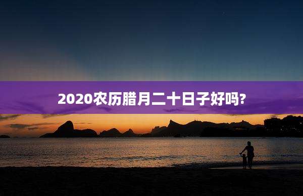 2020农历腊月二十日子好吗?