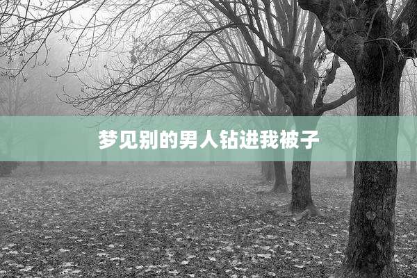 梦见别的男人钻进我被子