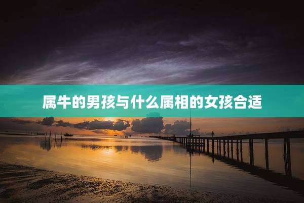 属牛的男孩与什么属相的女孩合适