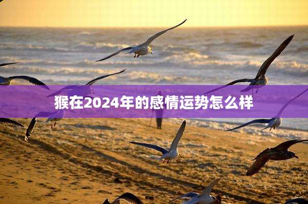 猴在2024年的感情运势怎么样