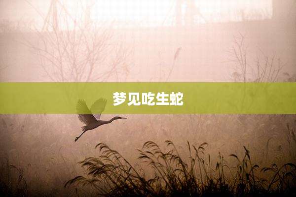 梦见吃生蛇